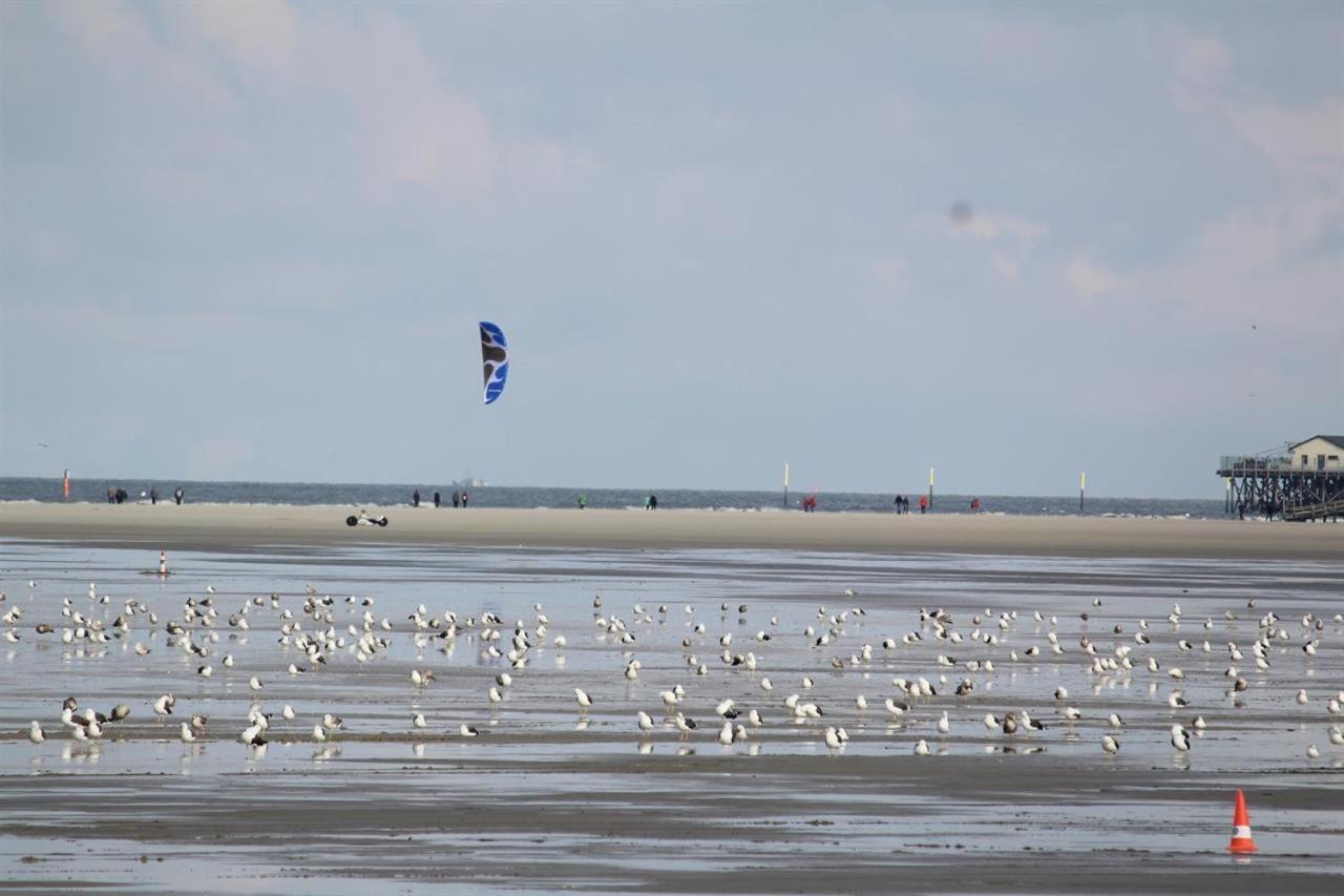 Wolke 5 - Urlaub In Der Parkwohnanlage Atlantic Apartment Sankt Peter-Ording